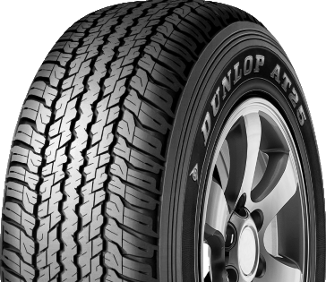 DUNLOP Bigwheels2026.Models.Tire.TireDetailsViewModel .Description