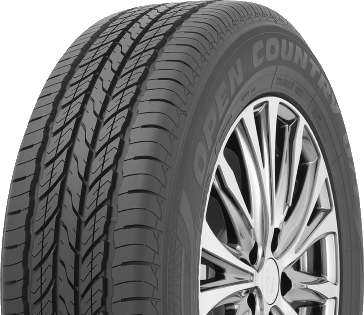 TOYO Bigwheels2026.Models.Tire.TireDetailsViewModel .Description